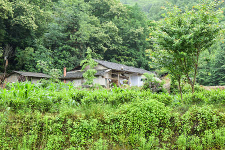 Villages in the mountains and forestsの写真素材