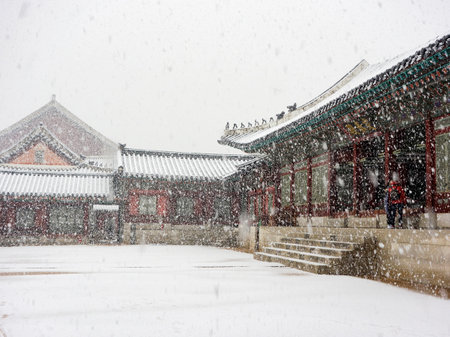 Seagulls are flying freely in the cloudy sky.の写真素材