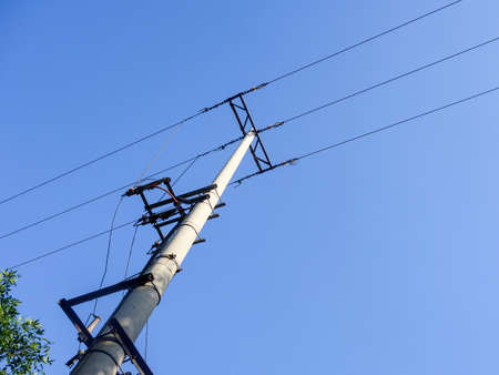 Seagulls are flying freely in the cloudy sky.の写真素材