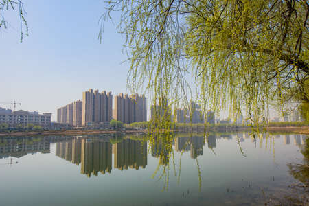 A close-up of a white red magnolia in bloom in springの写真素材