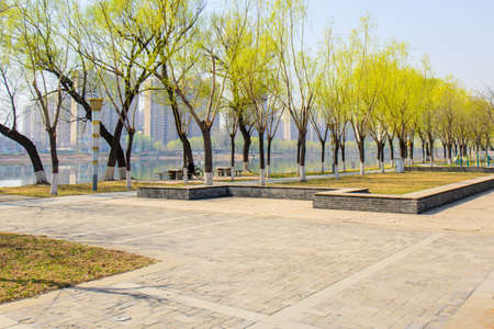 A close-up of a white red magnolia in bloom in springの写真素材