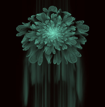 abstract flowerの写真素材