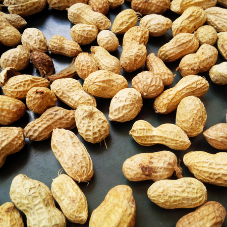 Peanutsの写真素材