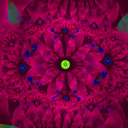 Mysterious abstract red flowerの写真素材