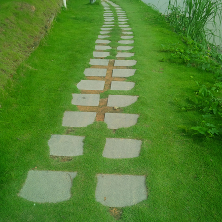 pathway in gardenの写真素材