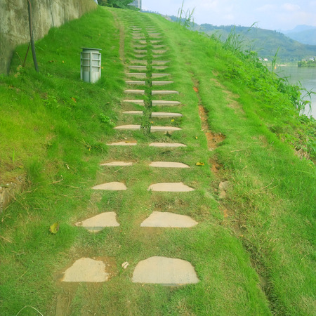 pathway in gardenの写真素材