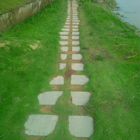 pathway in gardenの写真素材
