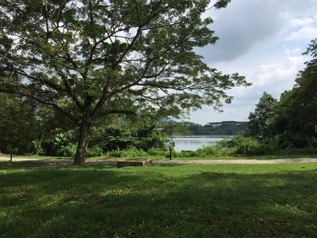 Kampar lake with building Kampar lake with building