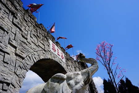 Beichuan Yaowang Valley  Magnolia flowerのeditorial素材