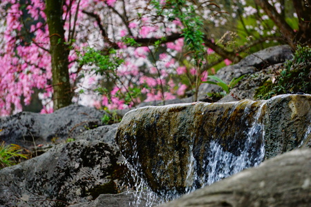 cascadeの写真素材