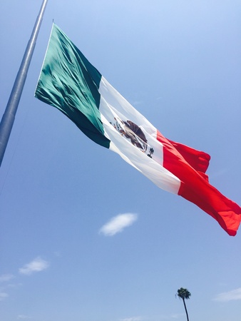 Hola Mexico flagの素材