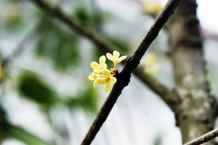 Thrivingの写真素材