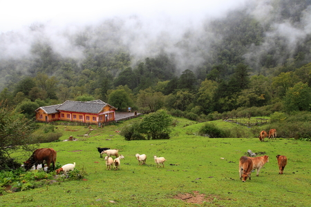 building in the mountain hillのeditorial素材