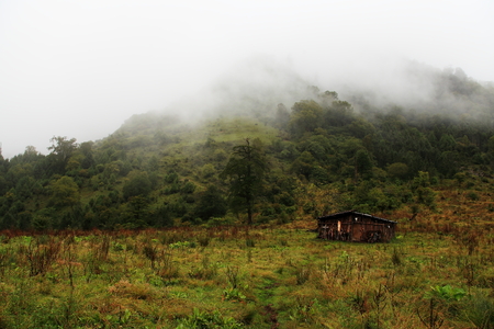 foggy mountain with wooden cabinのeditorial素材