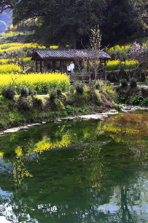 Wuyuan rape flower field with lakeのeditorial素材