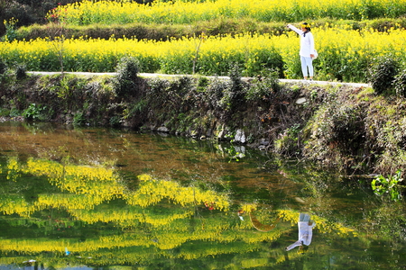 Wuyuan rape flower field