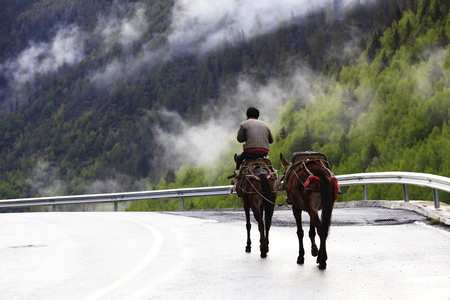 man riding a horseの写真素材