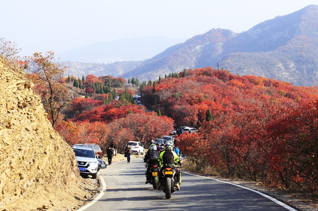 Tourists enjoy autumn along highway roadのeditorial素材
