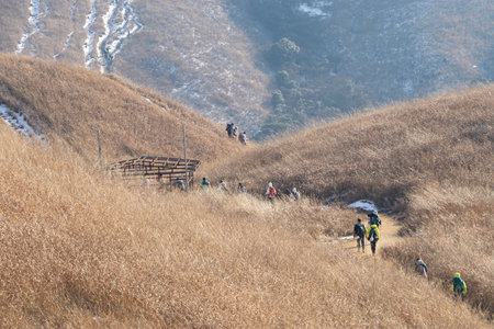 Hikers walk on the slopes of Wugong Mountain National Park in Jiangxi province in winterの写真素材