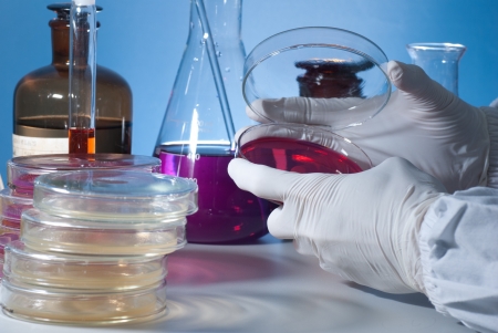 Microbiology Experimentの写真素材