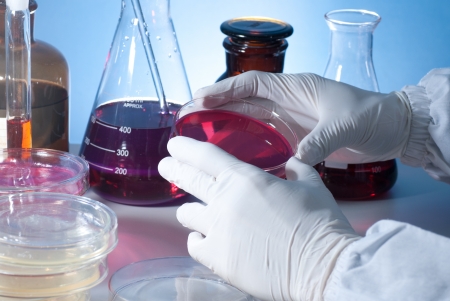 Microbiology Experimentの写真素材