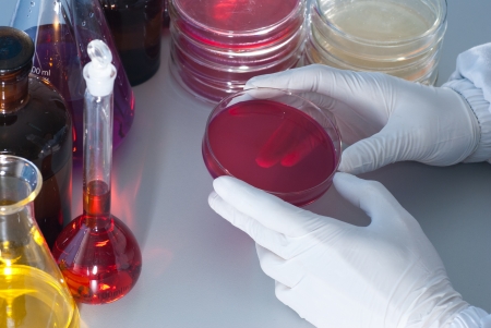 Microbiology Experimentの写真素材