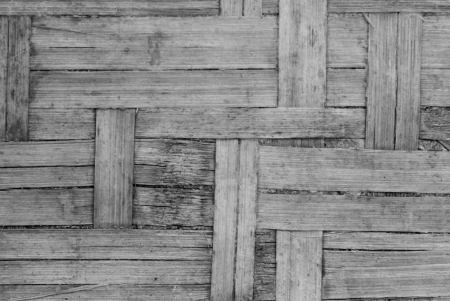 bamboo backgroundの写真素材