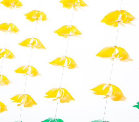 a string of colours Windmills in white backgroundの写真素材