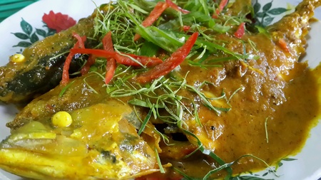 Thai traditional food Mackerel in red curry (Choo Chee Pla Thu).の素材