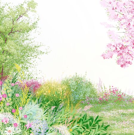 Flowers in summer gardenの写真素材