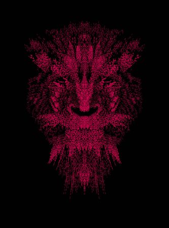 Abstract   lionの写真素材