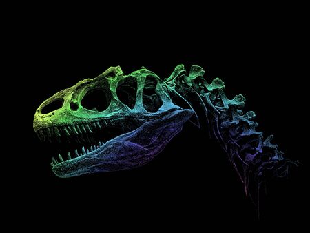 A dinosaur head skull with an open mouth.の写真素材