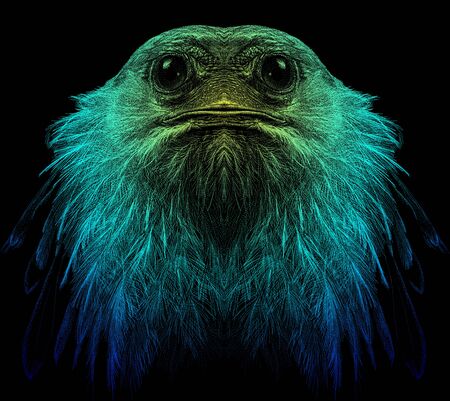 Abstract, multicolored graphic hand-drawn portrait of an bird on a black background.