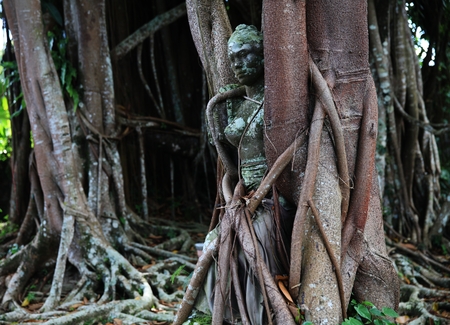 Banyan trees and statue in Ubud, Baliの写真素材