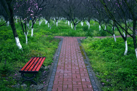 Park benchの写真素材