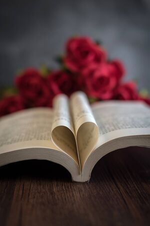 Valentine rose still lifeの写真素材