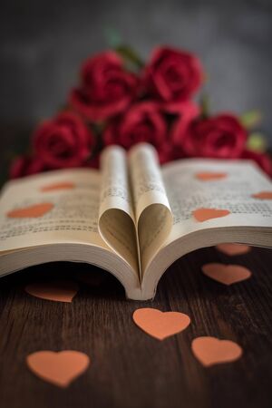 Valentine rose still lifeの写真素材
