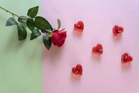 Valentine rose still life