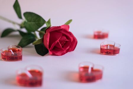 Valentine rose still lifeの写真素材
