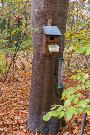 In the forest, people built a small home for animals.