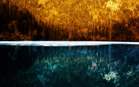 Landscape view of natureの写真素材