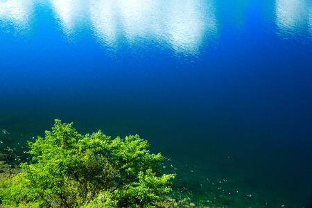Landscape view of lake with plants at sideの写真素材