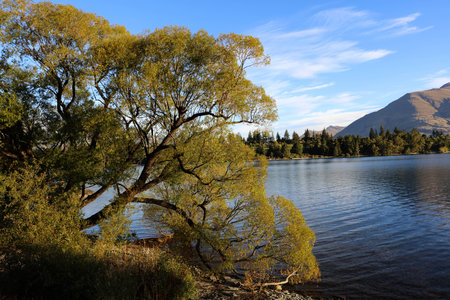 Lake Wakatipu Queenstownの写真素材