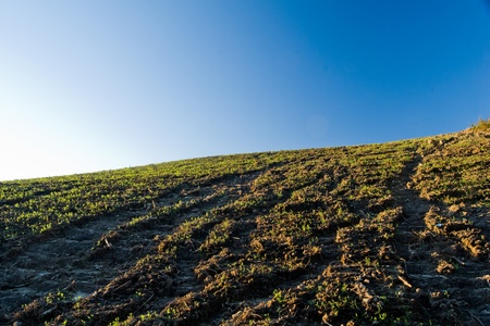 Agricultural land erosion and soil compaction in southern Brazil.の写真素材