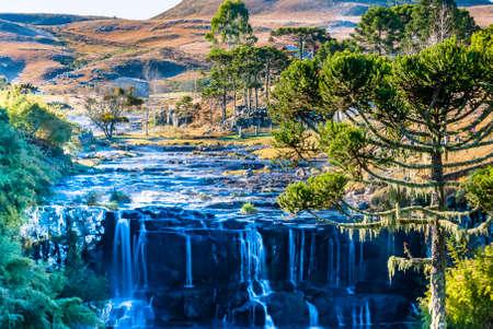 Landscape with waterfall, pine trees and field in the mountain range of Santa Catarina. Southern Brazil.の写真素材
