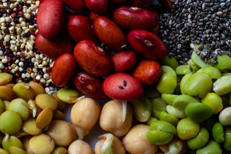 Vegan food. Close-up of the mixture of germinated seeds.の写真素材
