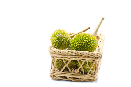 group of Durian on basketKing of fruits isolated on white background