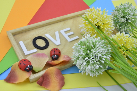white word and black O on colourfull background.green, yellow and white artificial flower placed on right. red ladybird and petal placed on bottomの写真素材