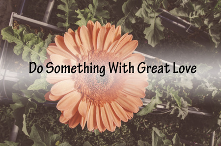 Romantic quote â??Do Something With Great Loveâ?? ove retro color red daisy flower in the nurseryの写真素材