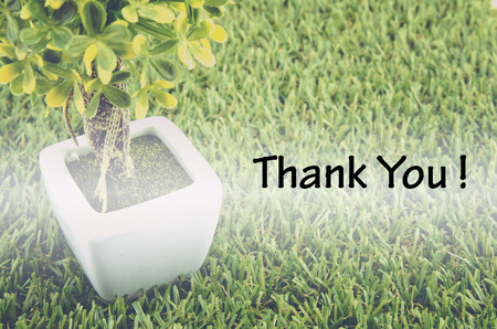 Conceptual image,customer service and support with word "THANK YOU" over green artificial grass and small tree on white pot.の写真素材